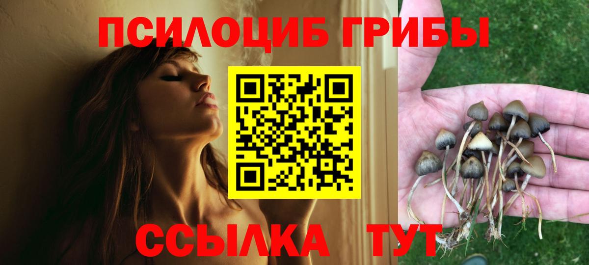 Самара  Псилоцибиновые грибы ЛСД  Псилоцибиновые грибы Psilocybine cubensis  Вход с VPN 